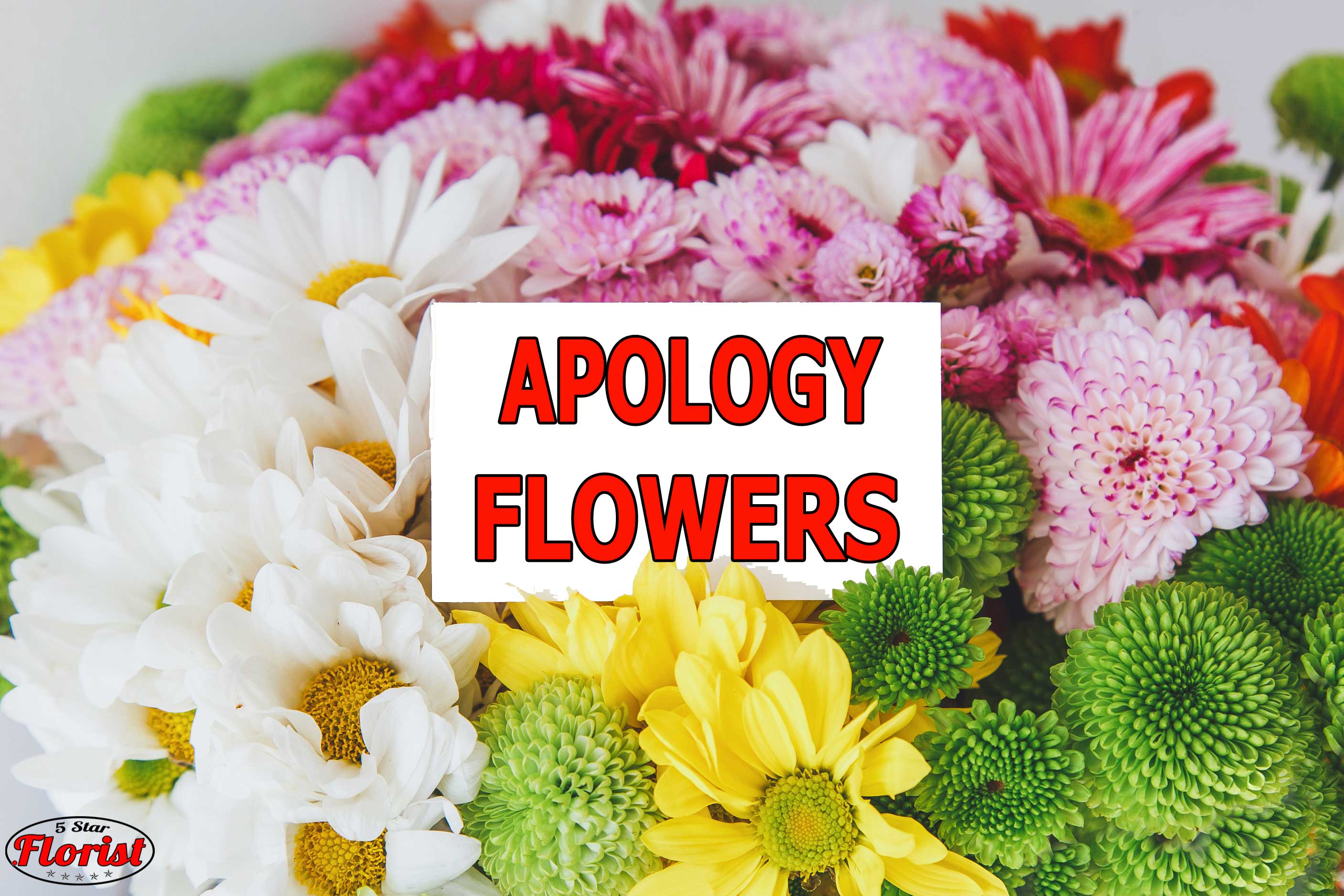 apology flowers Rocklin