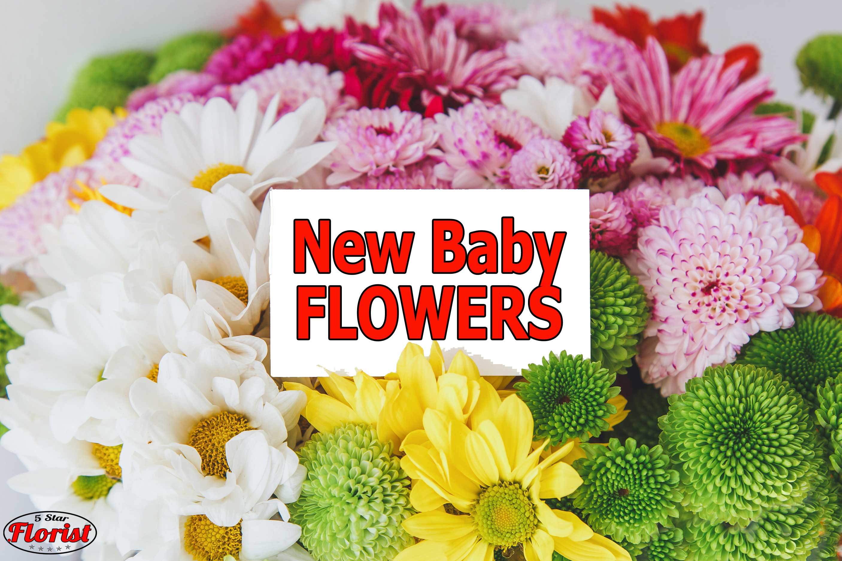 new baby flowers Rocklin