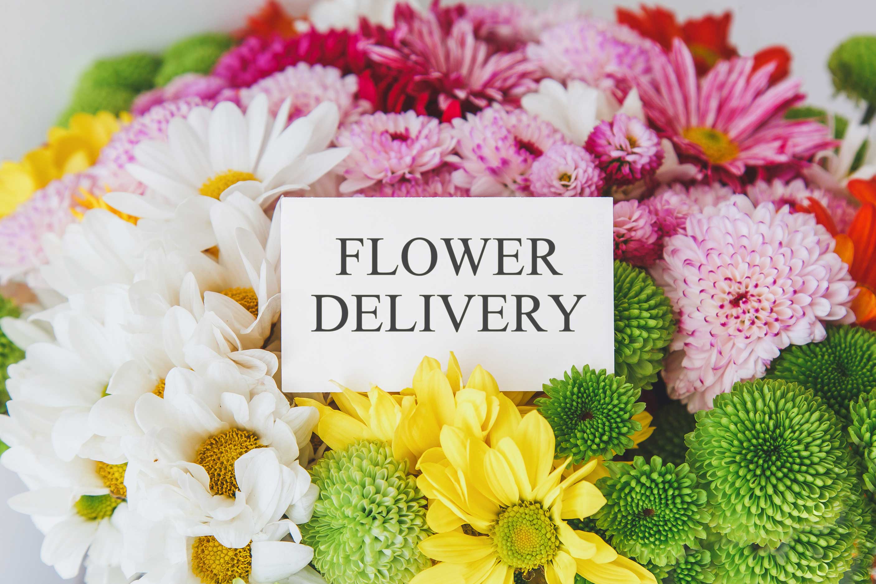 same-day-flower-delivery- Rocklin